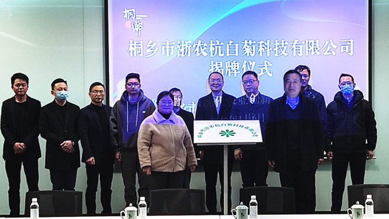 桐鄉(xiāng)市浙農杭白菊科技有限公司正式成立