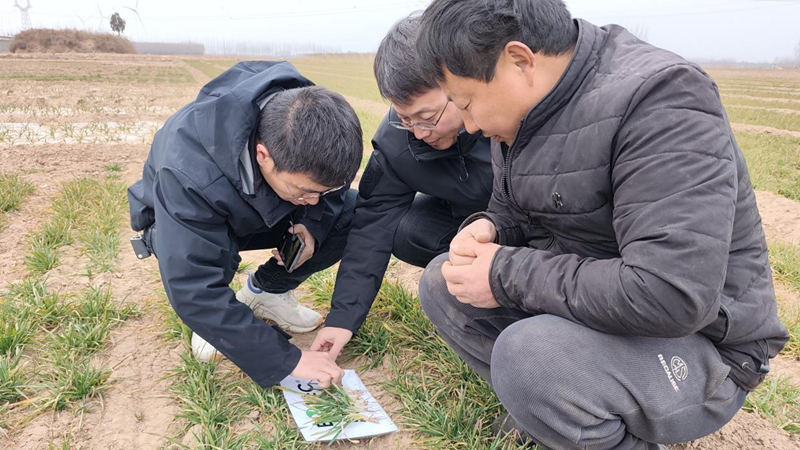 愛普科技開展田間回訪助力春耕生產